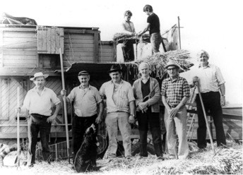 Wright’s harvesting the straw