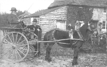 Mr Green at Bartlett’s Farm