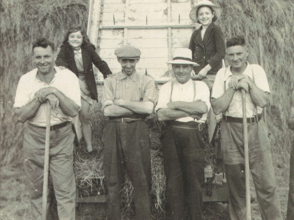 Trays Farm Haymaking c1950