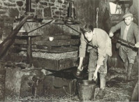 Cider Making Withies Far, Compton Street C1940 Cider Making Withies Farm Compton Street C1940 Bob Napper and Eric Jenkins