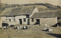 Burt’s Cottage and cow yard Peak Lane Dundon Late C16th, named after Thomas Burt. Some of those farming at Burts Farm were: F B Willey to 1887; T Gooden 1890’s; Dawbin to 1897; Sims to 1913; W G Gillett to 1941.