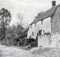 Motte House Motte House