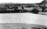 The straw is stacked into stooks to dry before storing